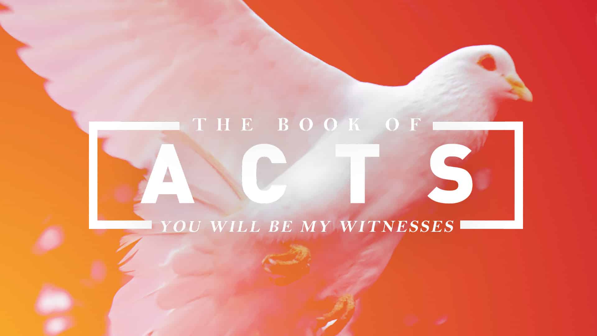 Book of Acts: The Blessing of the Church Image