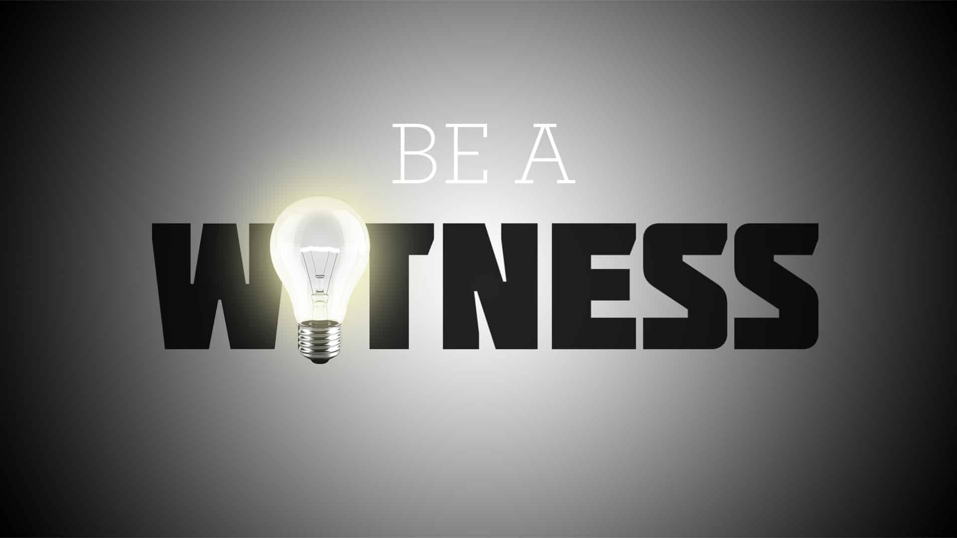Witness Training Image
